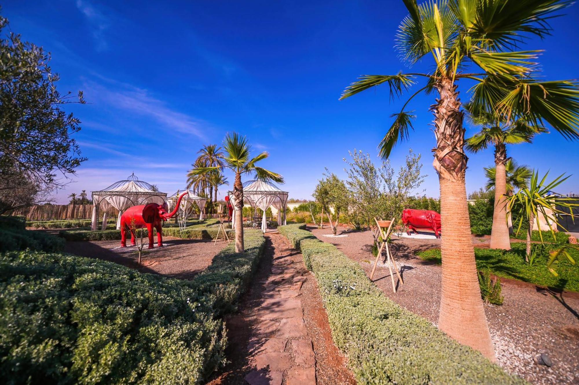 Maison Daouia Ouled Jelal Экстерьер фото